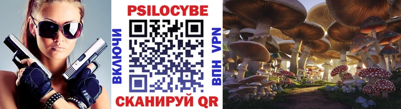 Псилоцибиновые грибы Psilocybine cubensis  Шарья 